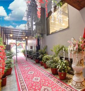 una stanza piena di piante in vaso e un tappeto rosso di Southwest Inn - Boutique Hotel a Nuova Delhi