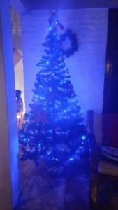 a christmas tree with blue lights in a room at Pousada Lua Vermelha in Caponga