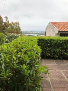 A garden outside Residence l'Ogliastro