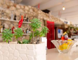 roślina doniczkowa siedząca na stole w obiekcie Max Luxury Suite - Servizio Spiaggia Inclusa w mieście Peschici