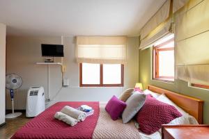 Charming Miraflores Guesthouse with Terrace Studio Apartment and Private Room في ليما: غرفة نوم مع سرير كبير مع وسائد أرجوانية