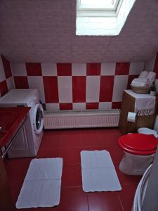 un bagno rosso e bianco con servizi igienici e lavatrice di Casa Ana a Crasna Altre 7 foto