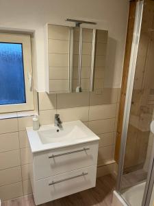 a bathroom with a sink and a shower at Ferienwohnung Roggenbach in Büdelsdorf +7 photos