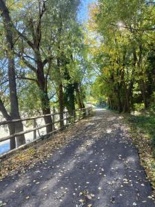 a dirt road with trees and a fence at Borgo Lungofiume B&B in Valbrenta 
