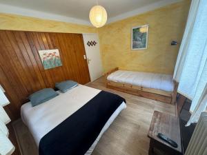 Un pat sau paturi într-o cameră la Appartement 6 couchages à Auron