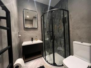 a bathroom with a shower and a sink and a toilet at Central private 1 bed flat in Reading