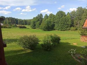 een uitzicht op een veld met struiken en bomen bij Skarb Sołtysa - apartament z widokiem in Jedwabno