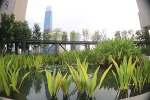 a pond with plants in front of a building at Axon Service Suites At Bukit Bintang KL in Kuala Lumpur