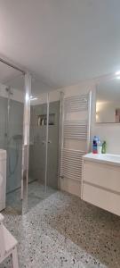 uma casa de banho com um chuveiro, um lavatório e um espelho. em One bedroom apartement with furnished terrace and wifi at Matino em Matino