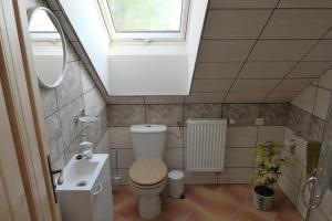 La petite salle de bains est pourvue de toilettes et d'un lavabo. dans l'établissement Yogashrama traditional, à Ústí nad Orlicí