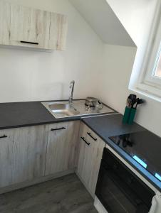 a kitchen with a sink and a counter top at Appartement Vesonne in Vésonne