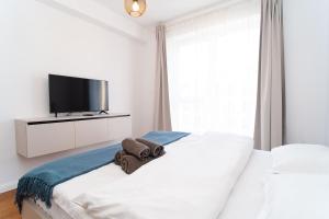 een witte slaapkamer met een tv en een bed bij 4FriendsCoresiBrasov Y in Braşov