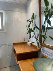 a bathroom with a sink and a potted plant at Le 53-Maison de campagne-LES MAKES in Saint-Louis