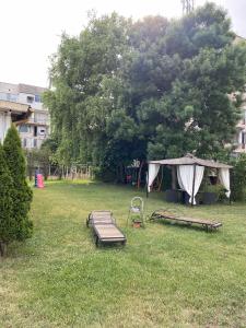 Vrt pred nastanitvijo Hotel Surf Primorsko