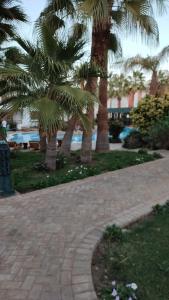 a brick walkway with palm trees in a park at Studio Delta sharm Resort in Sharm El Sheikh