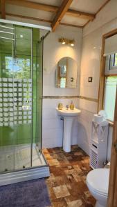 bagno con doccia, lavandino e servizi igienici di Pewma Lodge Conguillio a Santa María