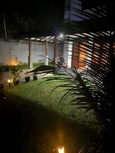 a palm tree in front of a house at night at SOHA Home Stay in Galle