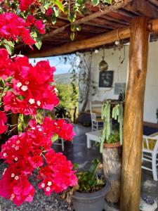 eine Pergola mit roten Blumen auf einer Terrasse in der Unterkunft Casa Castañeto Barichara in Barichara