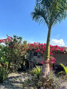 巴里查拉的住宿－Casa Castañeto Barichara，大篷车前的棕榈树和鲜花