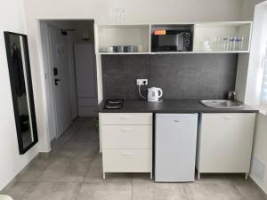 eine kleine Küche mit einer Spüle und einer Mikrowelle in der Unterkunft Apartmán HARMONY - Lipno nad Vltavou in Lipno nad Vltavou