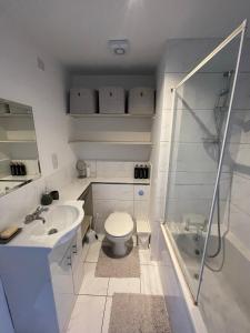 a bathroom with a toilet and a sink and a shower at Luxury Stay near London Eye zone 1 in London