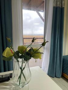 wazon z kwiatami siedzący na stole przed oknem w obiekcie Apartamenty Prima w Dziwnówku