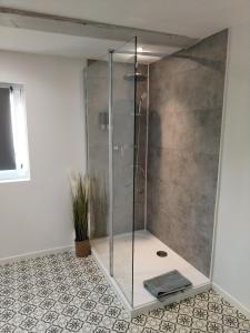a shower with a glass door in a bathroom at EDEN in Durrenentzen
