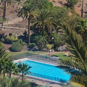 an overhead view of a swimming pool with palm trees at Casa panorama 314 San Agustín Maspalomas in San Agustin