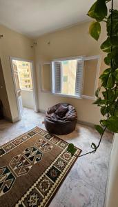 Private Room in Huge ApartmentQ في القاهرة: غرفة معيشة مع سجادة وسرير كلب