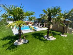 dwie palmy w trawie obok basenu w obiekcie Studio chez l'habitant avec piscine commune w mieście Grièges