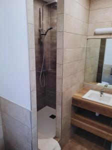 y baño con ducha y lavamanos. en Hotel Restaurant Les Chataigniers, en Privas