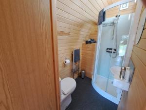 Robin- Ensuite Glamping Pod في ترورو: حمام صغير مع مرحاض ومغسلة