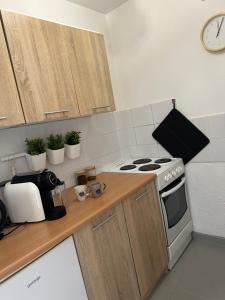 a kitchen with a stove and a counter top at Lawendowy Zakątek Apartament in Kłodzko