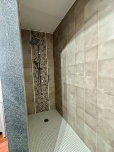 uma casa de banho com um chuveiro e uma parede de azulejos em Maison Camilla Casa vacanze em Monte San Biagio