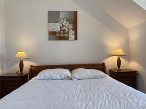 una camera da letto con un letto con due cuscini sopra di 353 - T2 lumineux avec vue imprenable sur le Cap Fréhel et l'Anse du Croc. a Fréhel