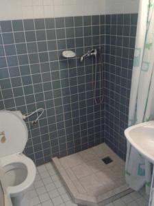 a blue tiled bathroom with a toilet and a sink at Penzion U Vejvodu in Třeboň