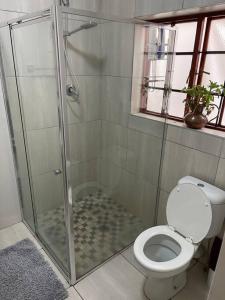 a bathroom with a shower and a toilet at Restful Retreat in Hilton