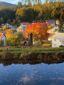 einen Blick auf eine Stadt mit einem Fluss im Herbst in der Unterkunft Das Alte Forsthaus Spiegelhütte in Lindberg