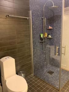 een badkamer met een toilet en een glazen douche bij Guest house or Loft with summer Pool in Bro