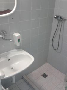 y baño con lavabo y ducha. en Penzion U Vejvodu, en Třeboň