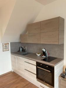 Kuchyň nebo kuchyňský kout v ubytování Apartmany Dolni Dunajovice
