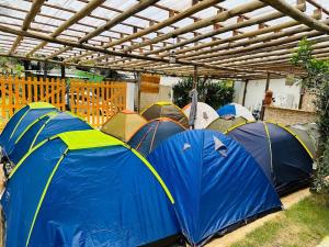 um grupo de tendas sentadas sob um telhado de madeira em Camping Mill Off Adventure em Paraty