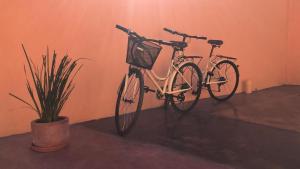 un vélo garé dans une pièce à côté d'une usine dans l'établissement Tres Iguanas - Sea view terrace, new spacious & cozy flat, short walk to beach, à Loreto