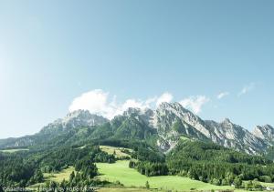 a mountain range with a green field and trees at Appartements Kuckuck Leogang in Leogang