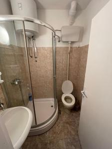 W łazience znajduje się prysznic, toaleta i umywalka. w obiekcie Apartman Marković w mieście Meljine