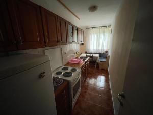 małą kuchnię z kuchenką i lodówką w obiekcie Apartman Marković w mieście Meljine