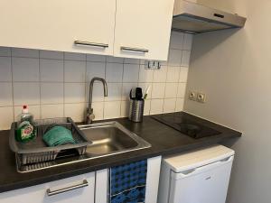 a kitchen sink with a dish drying rack next to it at Flat brussels center in Brussels