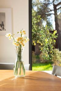 Fotografie z fotogalerie ubytování Dèpendance - Lequile - Alfa Country House v destinaci Lequile