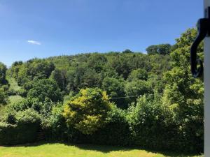 vista su un bosco di alberi e arbusti di The Nest Danehill a Haywards Heath