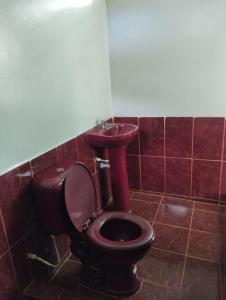 baño con aseo rojo y lavamanos en Amazon Nativo Lodge, en San Pedro